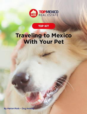 Traveling With Your Pet to Mexico
