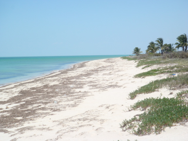 The beachfront at the lots for sale in Campeche